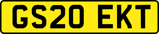 GS20EKT