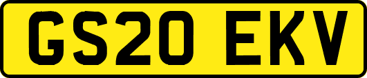 GS20EKV