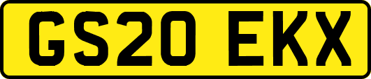 GS20EKX