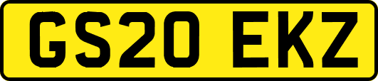 GS20EKZ