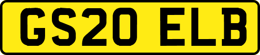 GS20ELB