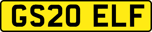 GS20ELF