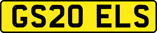 GS20ELS