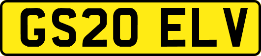 GS20ELV