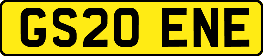 GS20ENE