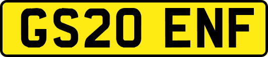 GS20ENF