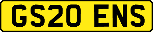 GS20ENS