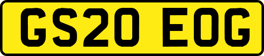 GS20EOG
