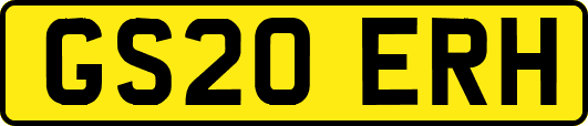 GS20ERH