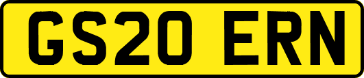 GS20ERN