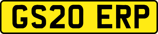 GS20ERP