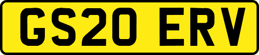 GS20ERV