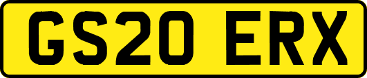 GS20ERX