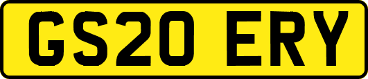 GS20ERY