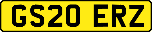 GS20ERZ