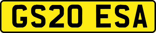 GS20ESA
