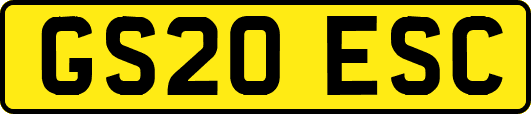 GS20ESC