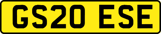 GS20ESE