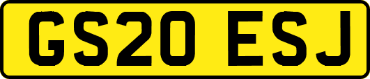 GS20ESJ