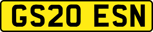 GS20ESN