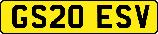 GS20ESV