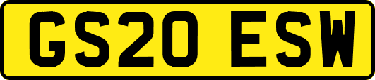 GS20ESW