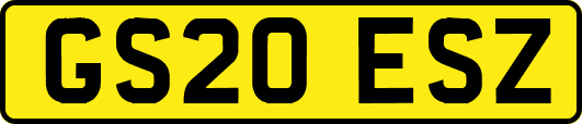 GS20ESZ