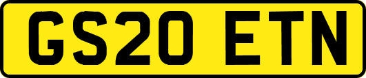 GS20ETN