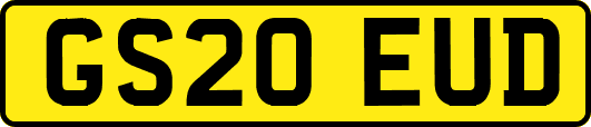 GS20EUD