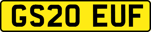 GS20EUF
