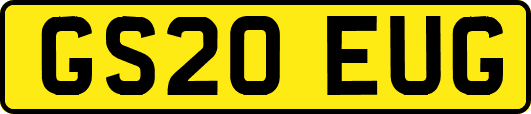GS20EUG
