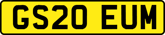GS20EUM