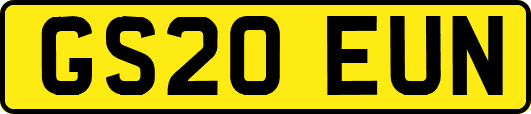 GS20EUN