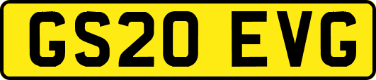 GS20EVG