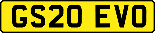 GS20EVO