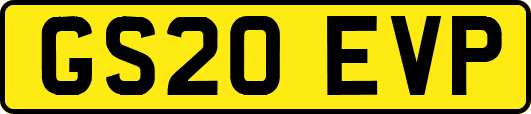 GS20EVP