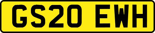 GS20EWH