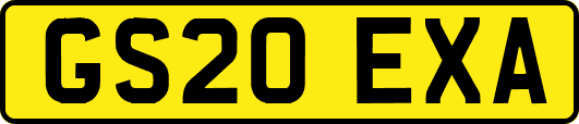 GS20EXA