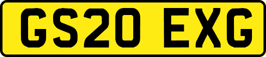 GS20EXG