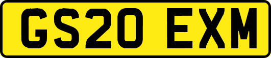 GS20EXM