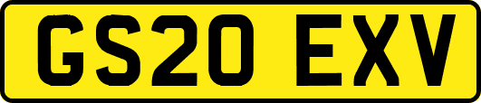 GS20EXV