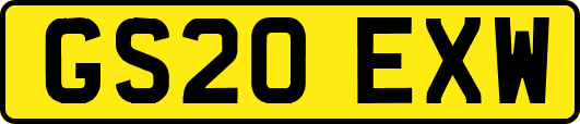 GS20EXW