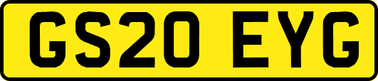 GS20EYG