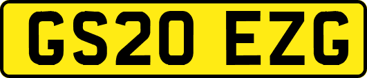 GS20EZG