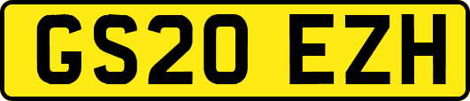GS20EZH