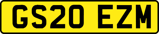 GS20EZM