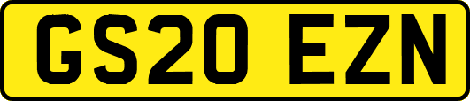 GS20EZN