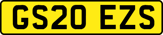 GS20EZS