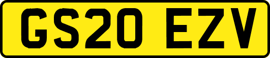 GS20EZV