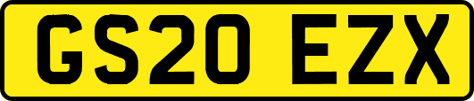 GS20EZX